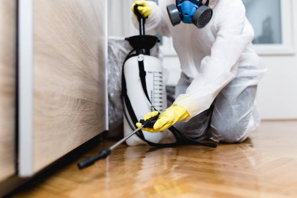 Best Cockroach Control Services  in Shadyside, OH