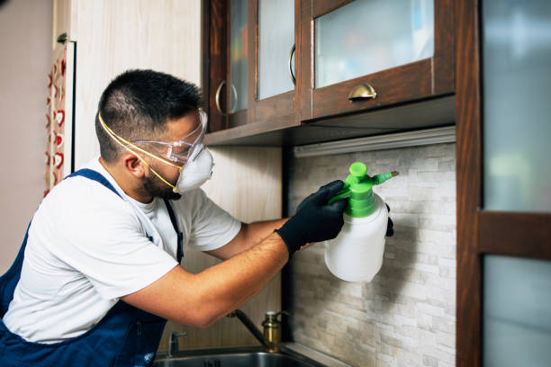 Best Wildlife Control Services  in Shadyside, OH