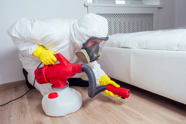 Best Pest Removal Services  in Shadyside, OH