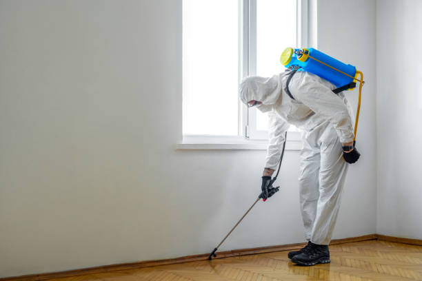 Pest Prevention Services in Shadyside, OH