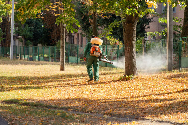 Best Ant Control Services  in Shadyside, OH