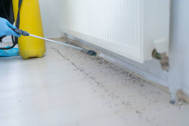 Shadyside, OH Pest Control Company