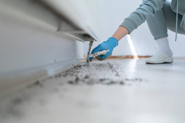 Best Pest Inspection Near Me  in Shadyside, OH